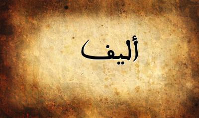 معنى اسم أليف اكتشف معنى اسم أليف و اسماء اخرى