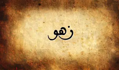 صورة إسم زهو بخط عربي جميل