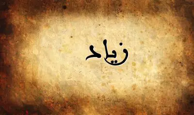 صورة إسم زياد بخط عربي جميل