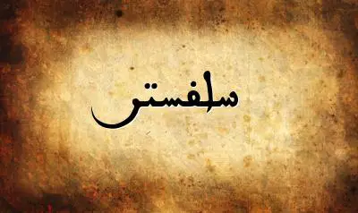 صورة إسم سلفستر بخط عربي جميل