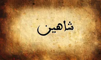 صورة إسم شاهين بخط عربي جميل