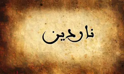 صورة إسم ناردين بخط عربي جميل